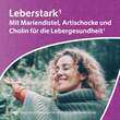 Leber-Komplex Mariendistel + Artischocke + Cholin Kapseln  - 2