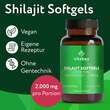 Liposomales Mumijo Shilajit 1000mg hochdosierste Weichkapseln - 2