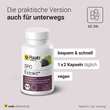 Raab Vitalfood OPC Extrakt Kapseln Bio - 4