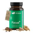 Nicapur Focus + Kapseln - 2