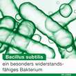 Bioticloges subtilis Kapseln - 4