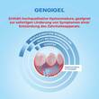 Gengigel Gel Forte Zahngel - 6