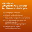 ANGOCIN Anti-Infekt N Filmtabletten - 5