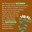 Nux vomica C 30 Globuli Pfl&uuml;ger Globulispender - 4