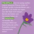 Pulsatilla C 30 Globuli Pfl&uuml;ger Globulispender - 4