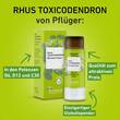 Rhus Toxicodendronicodendron C 30 Globuli Pfl&uuml;ger Globulisp. - 2
