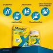 Maalox Refluprotect Kautabletten - 8