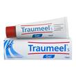 Traumeel S Gel - 1