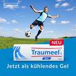 Traumeel S Gel - 4