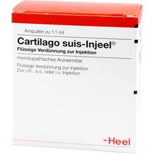 Cartilago suis Injeel Ampullen 100 St