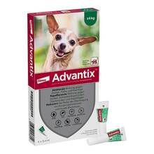 Abbildung: Advantix Spot-on Hund bis 4 kg Lösung 4 St, Lösung PZN 02362500 