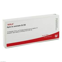 Abbildung: Apis ex animale GL D 6 Ampullen 10X1 ml, Ampullen PZN 02831780 