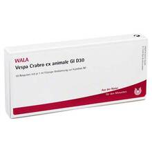 Abbildung: Vespa Crabro ex animale GL D 30 Ampullen 10X1 ml, Ampullen PZN 03794992 