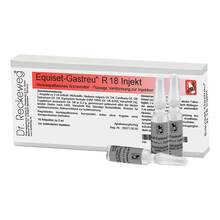 Abbildung: Equiset-Gastreu R18 Injekt Ampullen 100X2 ml, Ampullen PZN 04360801
