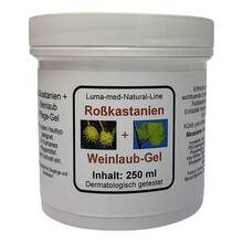  PZN 07001037 Gel, 250 ml