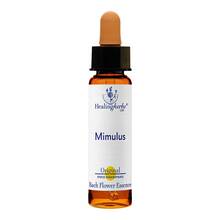 Abbildung: Bachblüten Mimulus Healing Herbs Tropfen 10 ml, Tropfen PZN 07363510 