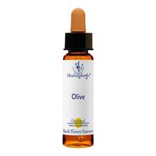 Abbildung: Bachblüten Olive Healing Herbs Tropfen 10 ml, Tropfen PZN 07363705 