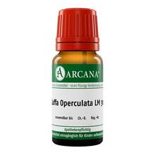 Abbildung: Luffa operculata Arcana LM 30 Dilution 10 ml, Dilution PZN 10919201 
