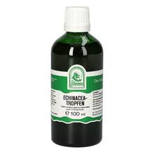 Echinacea Tropfen 100 ml