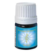 Dyhankan-Konzentrat 2 ml