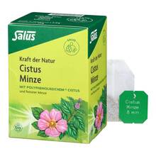 Abbildung: Cistus Minze Kräutertee bio Salus Filterbeutel Filterbeutel, 15 St PZN 19400630
