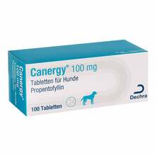  PZN 19658110 Tabletten, 100 St