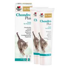 Abbildung: Doppelherz für Tiere Chondro Plus Paste für Katzen 2X100 g, Paste PZN 19745263 