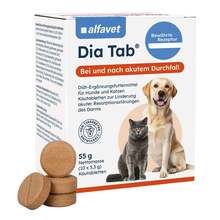 Abbildung: Dia Tab Diät-Erg.Futterm.Kautabletten für Hund / Katze 10X5.5 g, Kautabletten PZN 20084074 