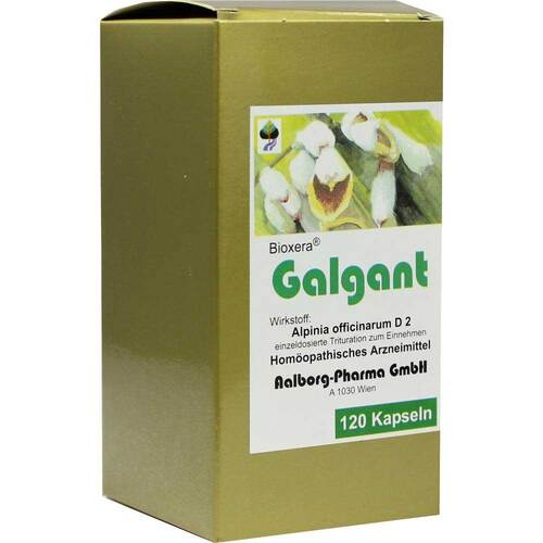 Galgant Kapseln - 1