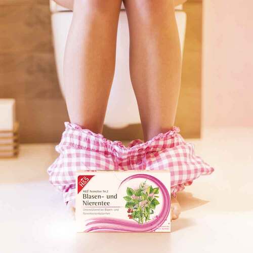 H&S Blasen- und Nierentee Filterbeutel - 3