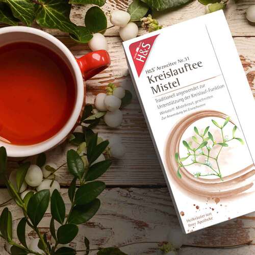 H&S Kreislauftee Mistel Filterbeutel - 3