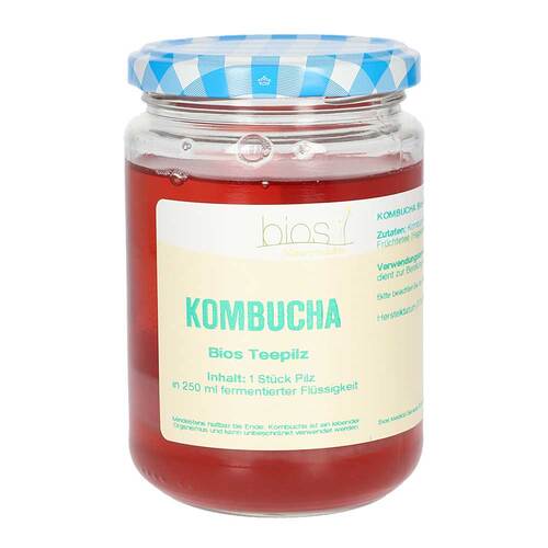 Kombucha Bios Teepilz - 1