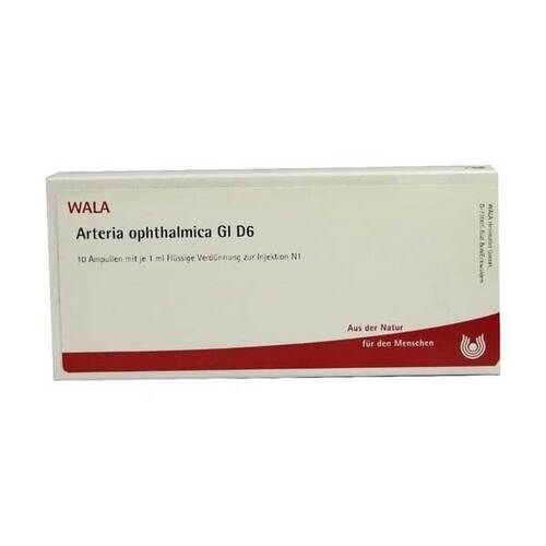 Arteria Ophthalmica GL D 6 Ampullen - 1