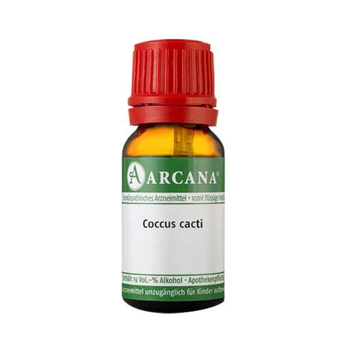 Coccus Cacti LM 1 Dilution - 1