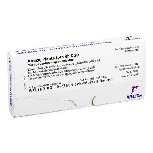 Arnica Planta Tota RH D 20 Ampullen - 1