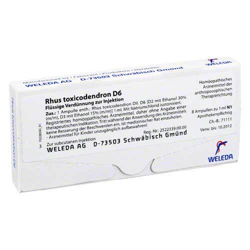 Rhus toxicodendron D 6 Ampullen - 1