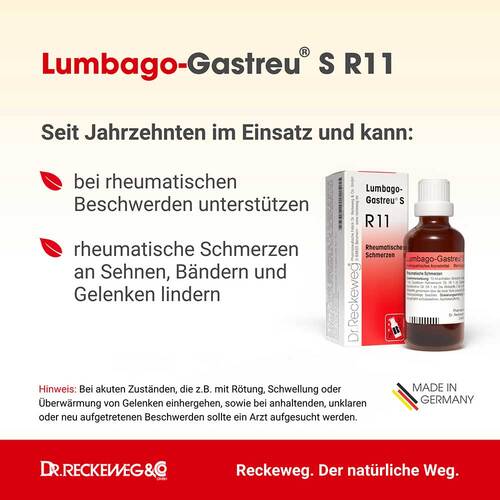 Lumbago-Gastreu S R11 Tropfen zum Einnehmen - 2