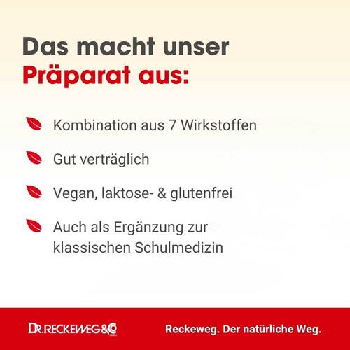 Dormi-Gastreu S R14 Tropfen zum Einnehmen - 2