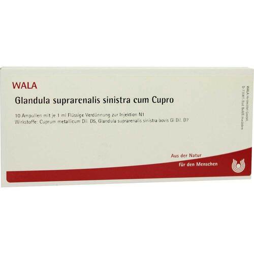 Glandula suprarenalis sinistra cum Cuprom Cupro Ampullen - 1