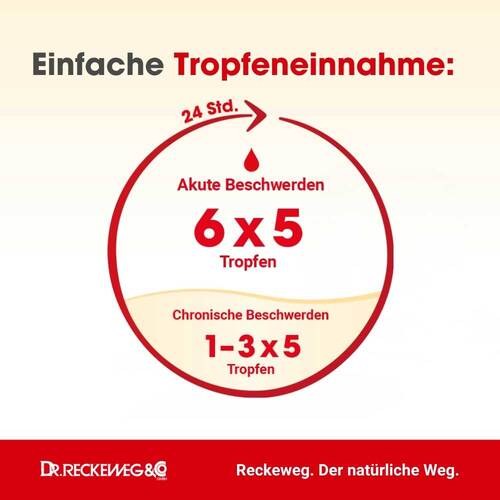 Haut Gastreu R60 Tropfen zum Einnehmen - 3