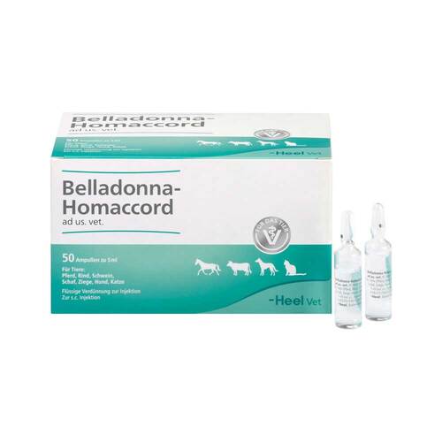 Belladonna Homaccord Ampullen vet. (f&uuml;r Tiere) - 1