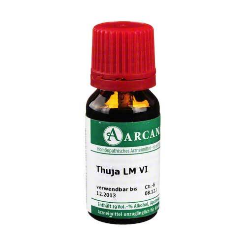 Thuja Arcana LM 6 Dilution - 1