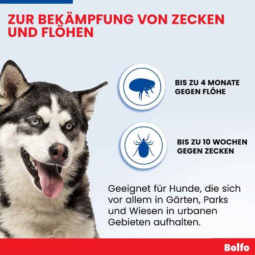 Bolfo Flohschutzband f&uuml;r gro&szlig;e Hunde - 5