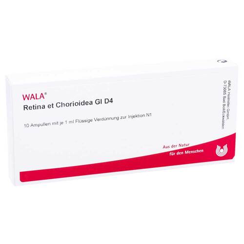 Retina et chorioidea GL D 4 Ampullen - 1