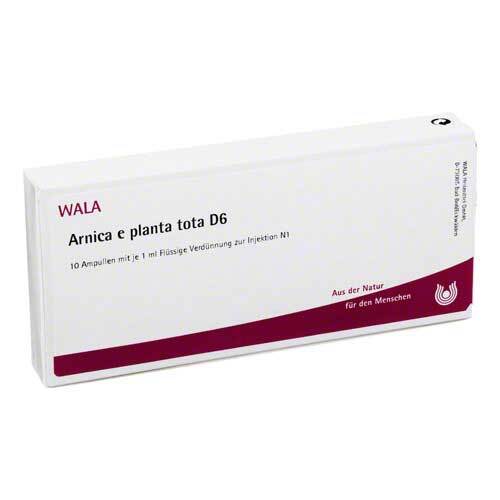 Arnica E Planta tota D 6 Ampullen - 1