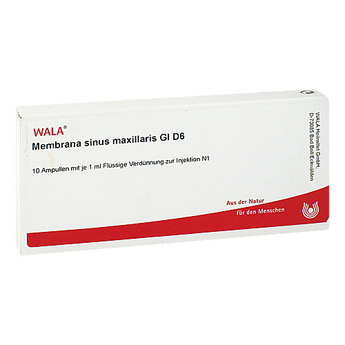 Membrana Sinus maxill GL D 6 Ampullen - 1