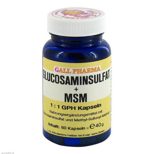 Glucosaminsulfat + MSM 1:1 Kapseln - 1