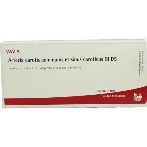 Arteria carotis communis et sinus caroticus GL D 5 Ampullen - 1