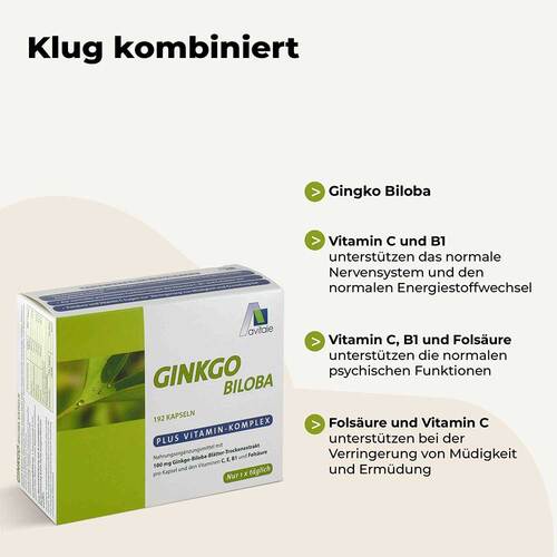 Ginkgo 100 mg Kapseln + B1 + C + E - 2