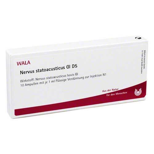 Nervus Statoacusticus GL D 5 Ampullen - 1